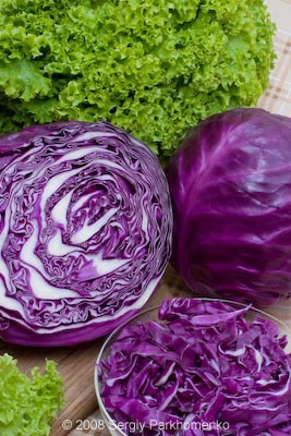 Comercial still life Cabbage 3