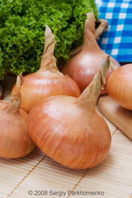 Comercial still life Onion 4