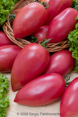 Comercial still life Vegetables 5