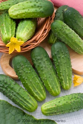 Comercial still life Vegetables 3