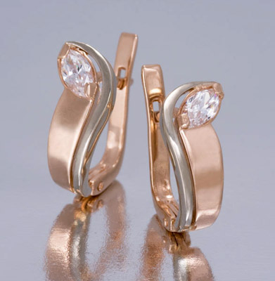 Photo Jewellery Earrings 9